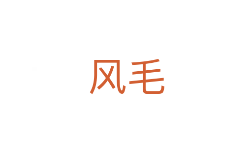 风毛