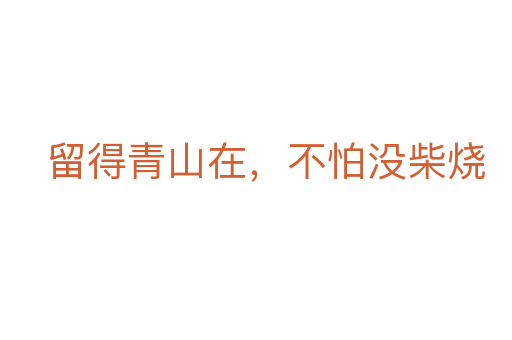 留得青山在,不怕没柴烧